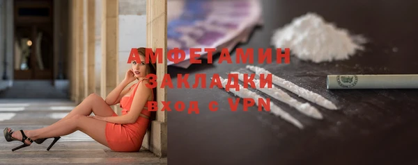 твердый Ельня